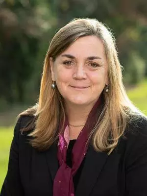 kathy willis