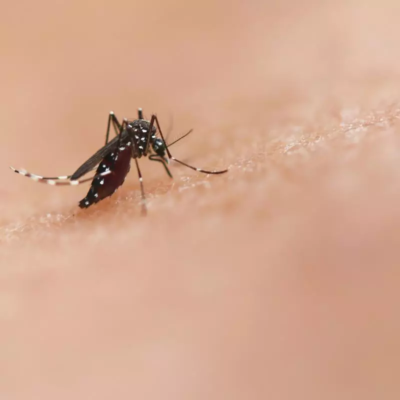 national institute of allergy and infectious diseases z2pq 4mj6bi unsplash