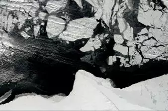 ice and fluid dynamics