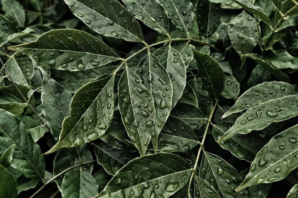 jaimie phillips kamss2eucza unsplash