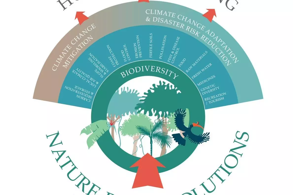 nature based solutions initiative