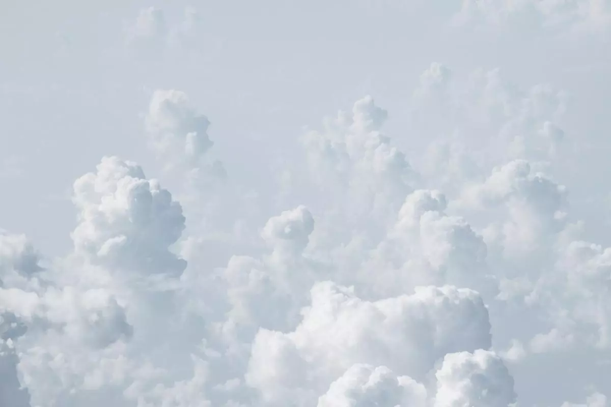 elcarito mhnjebeltgw unsplash
