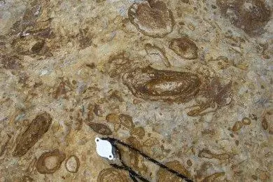 stratigraphy